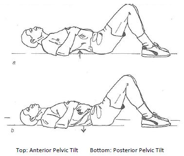 Pelvic Tilt Exercise