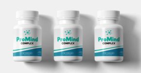 Promind Review